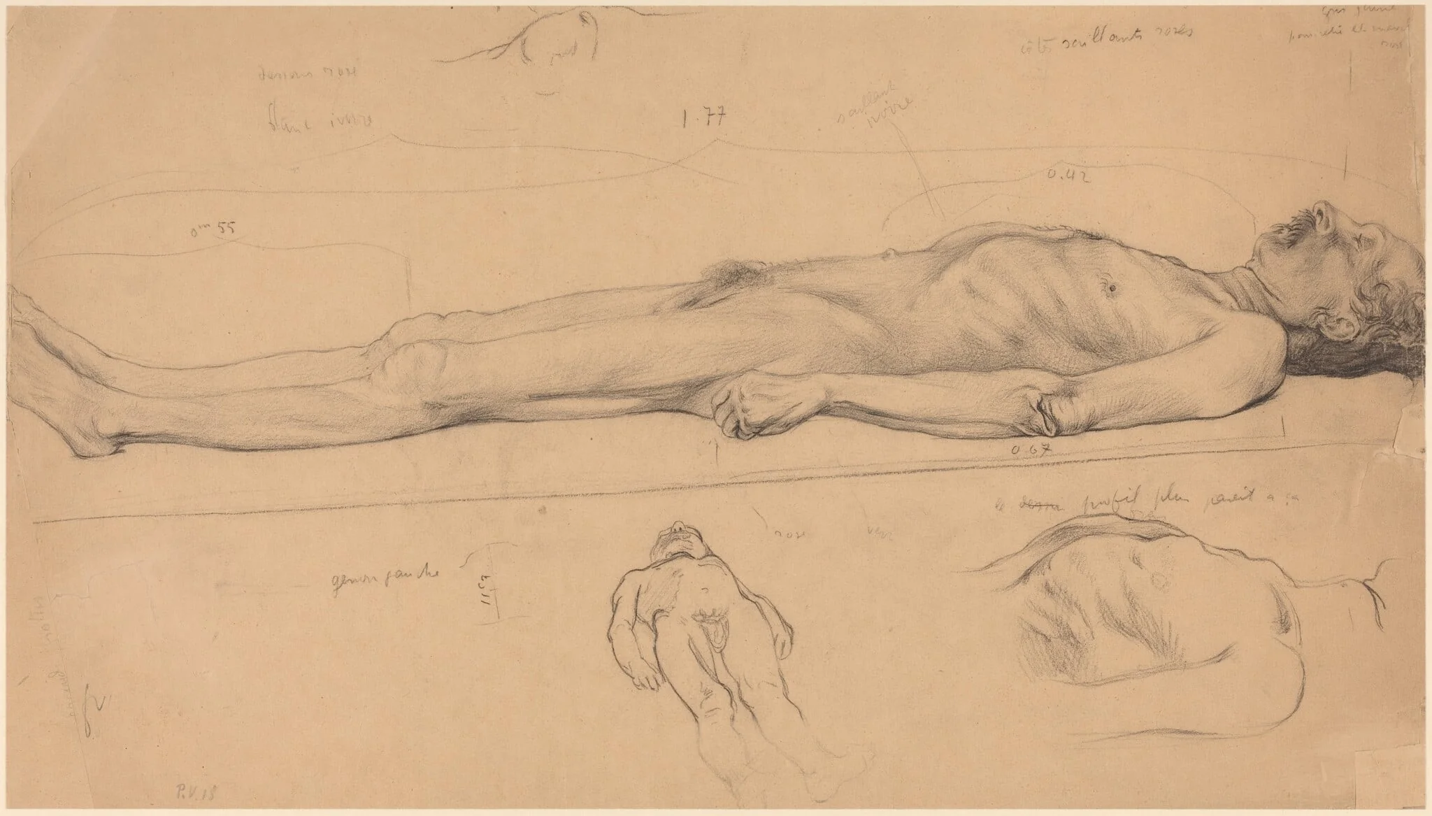 The Corpse (Study for The Dead Christ), by Félix Vallotton, chalk, 1893