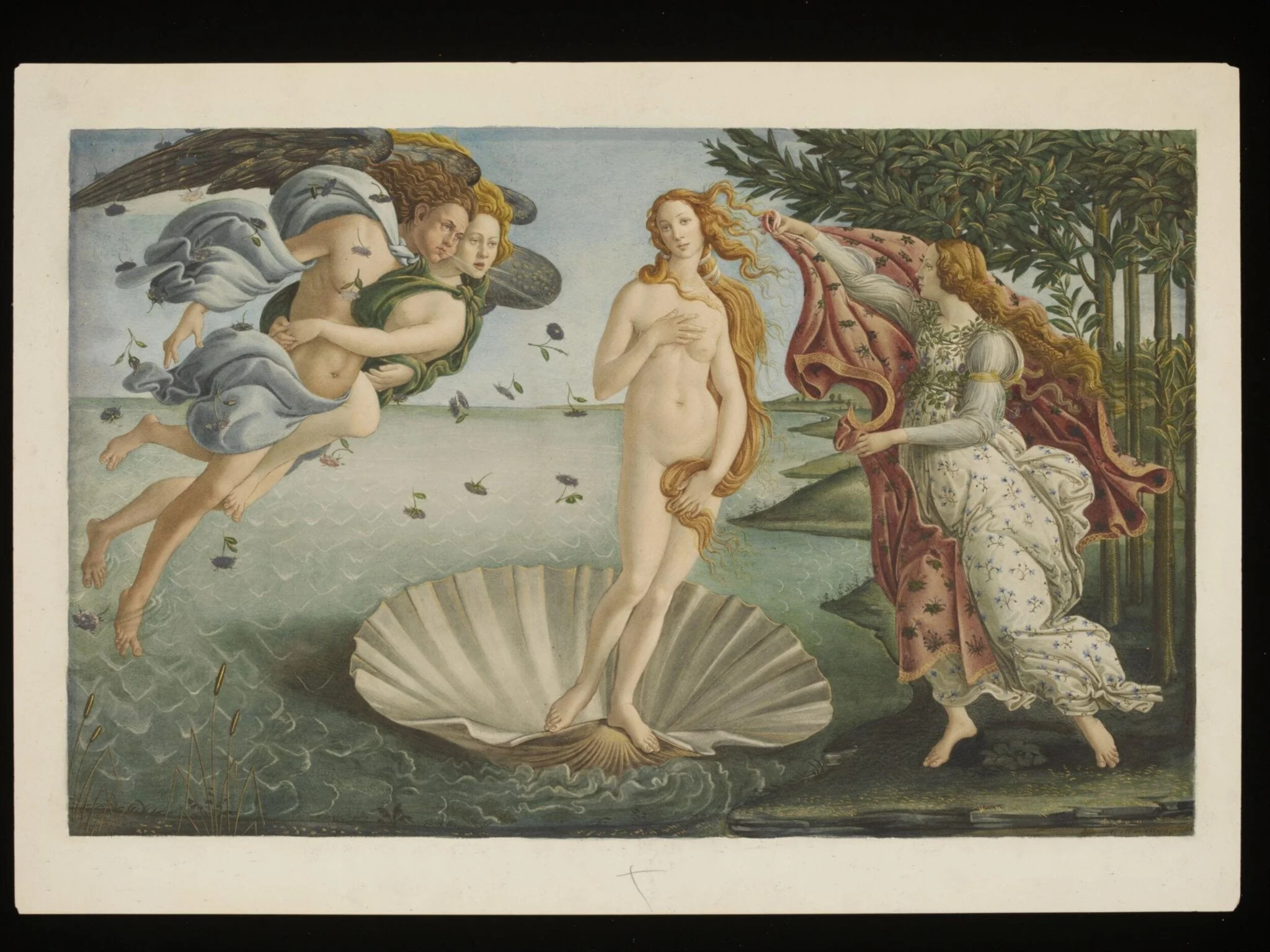 Copy after the Birth of Venus by Sandro Botticelli in the Uffizi (Florence), by Sandro Botticelli, watercolor, 1868