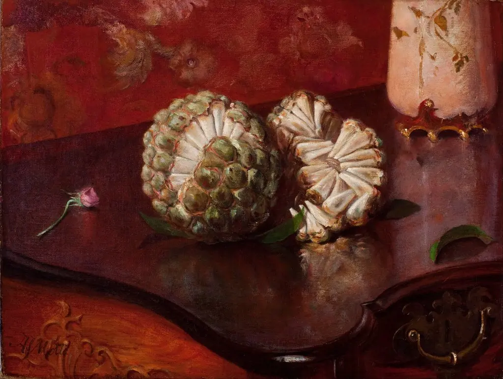 Sweetsop