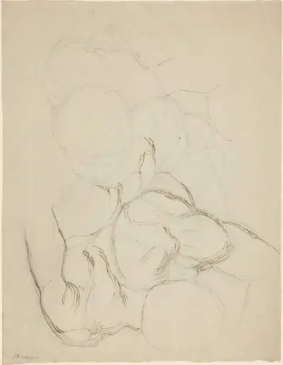 Two Male Nudes seen from Above