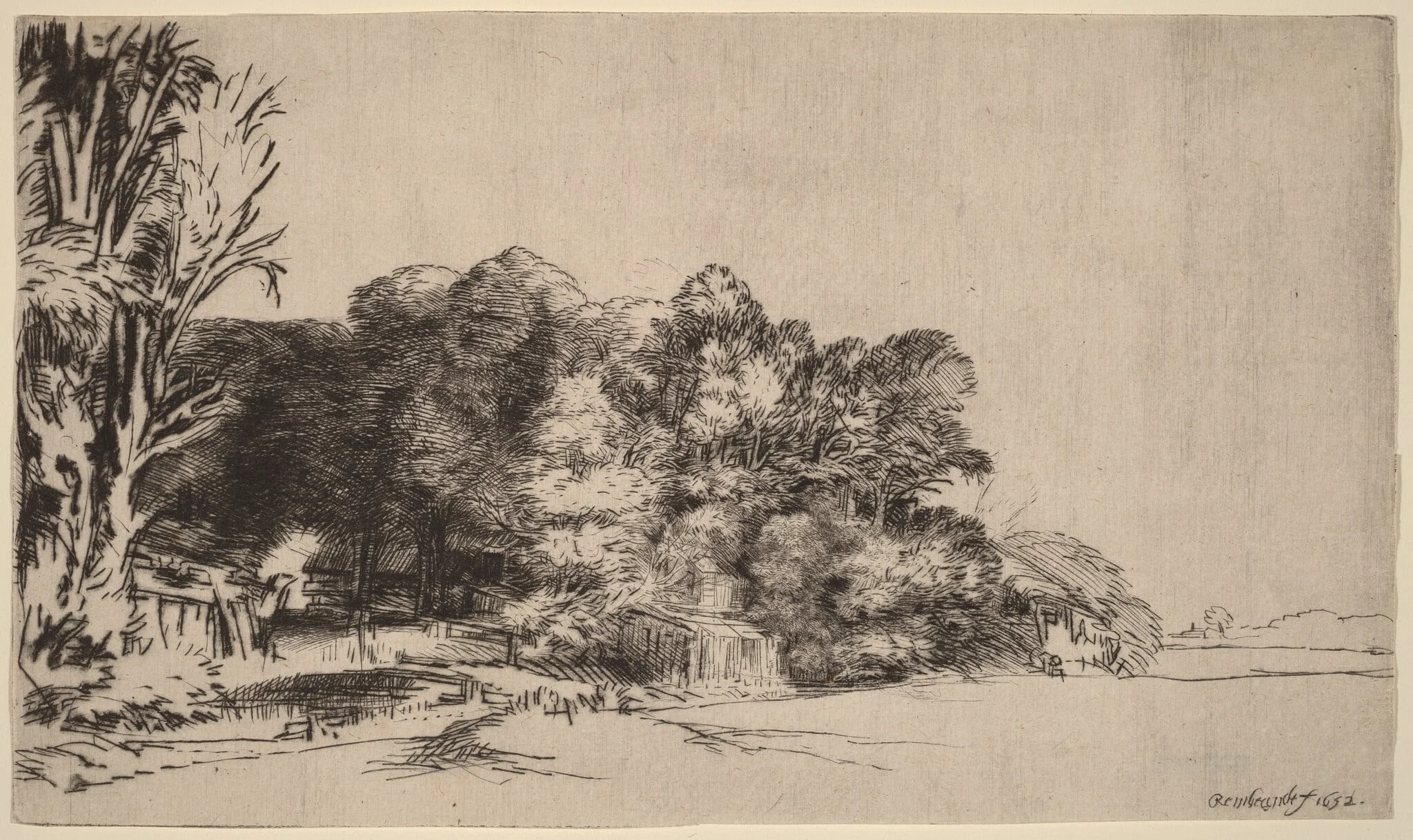 Clump of Trees with a Vista, by Rembrandt, ink, 1652