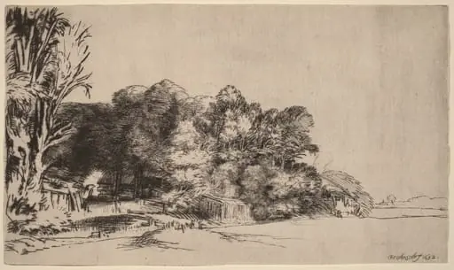 Clump of Trees with a Vista