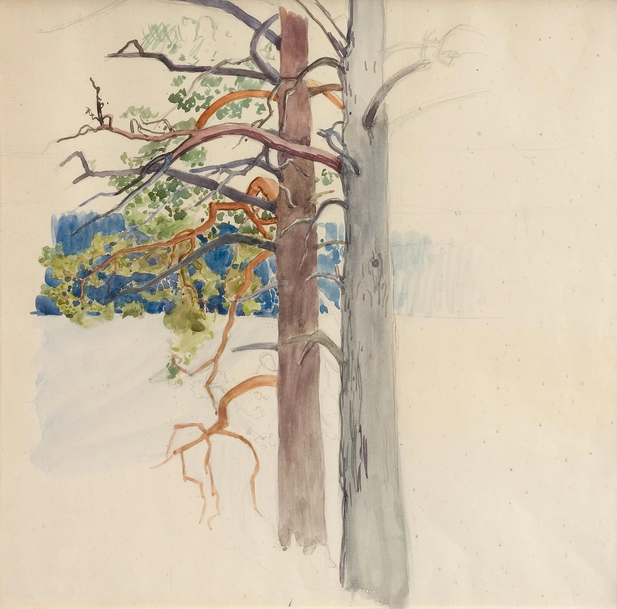 Kaksi mäntyä, by Eero Järnefelt, 1910