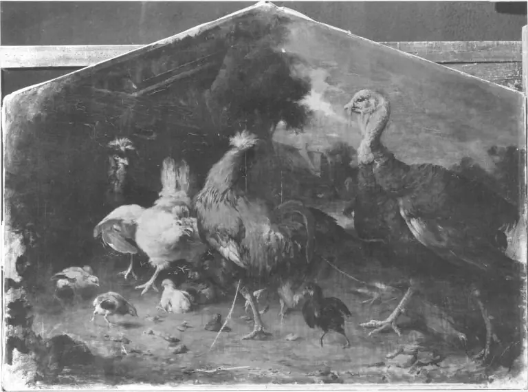 Q30096996