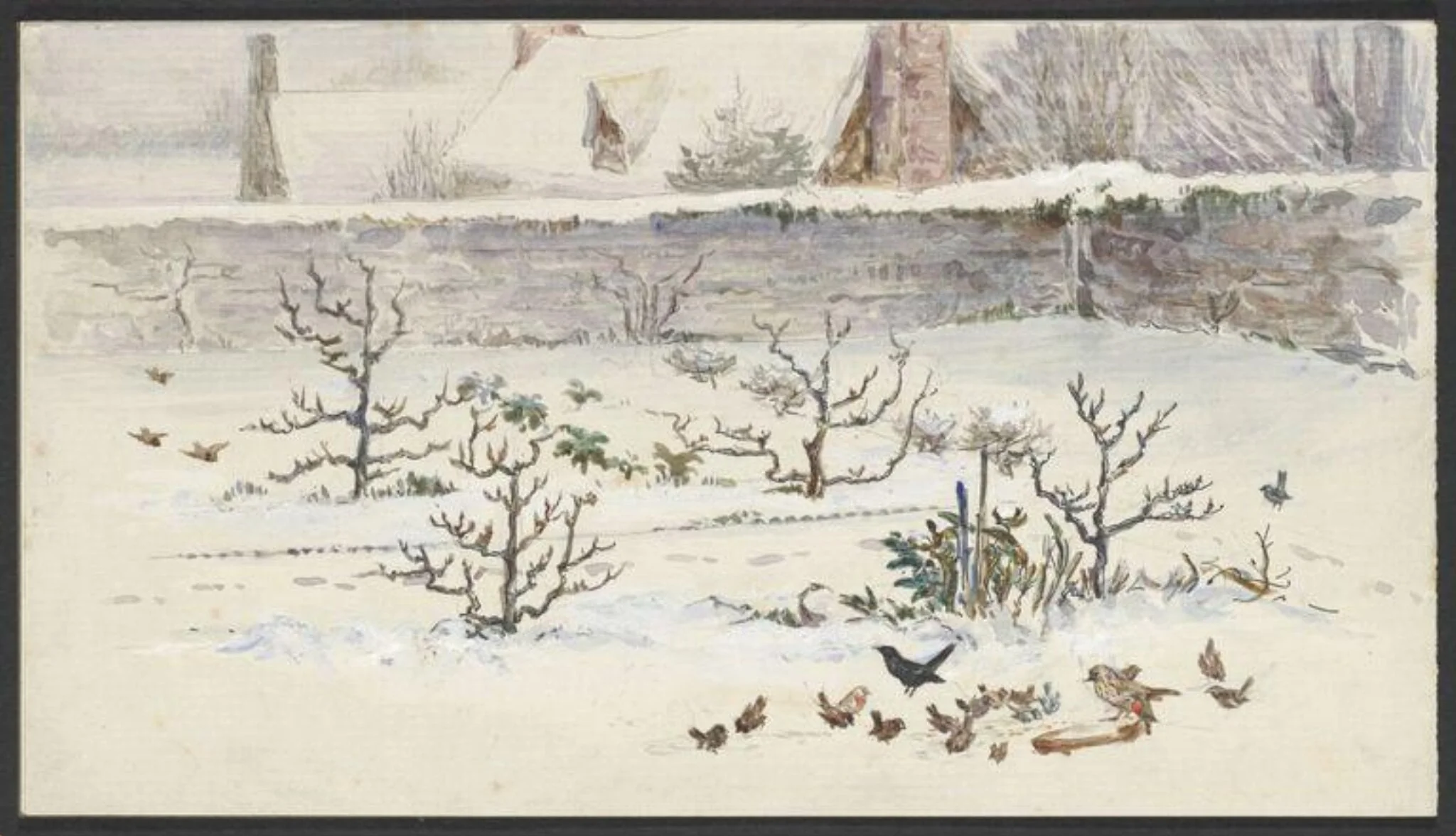 Untitled, by Beatrix Potter, watercolor, 1901