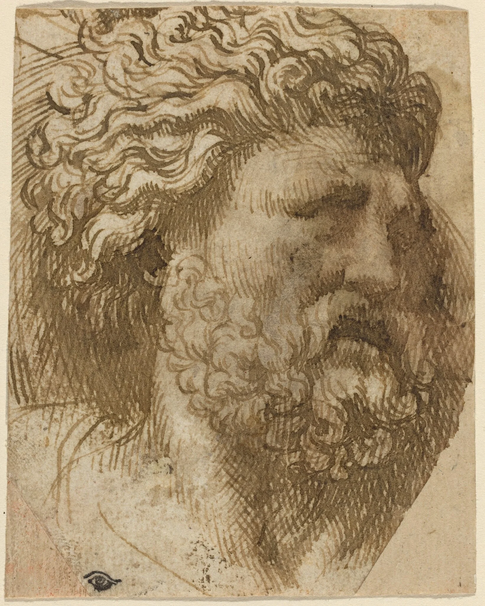 Head of a Man, by Domenico Campagnola, ink, 1532