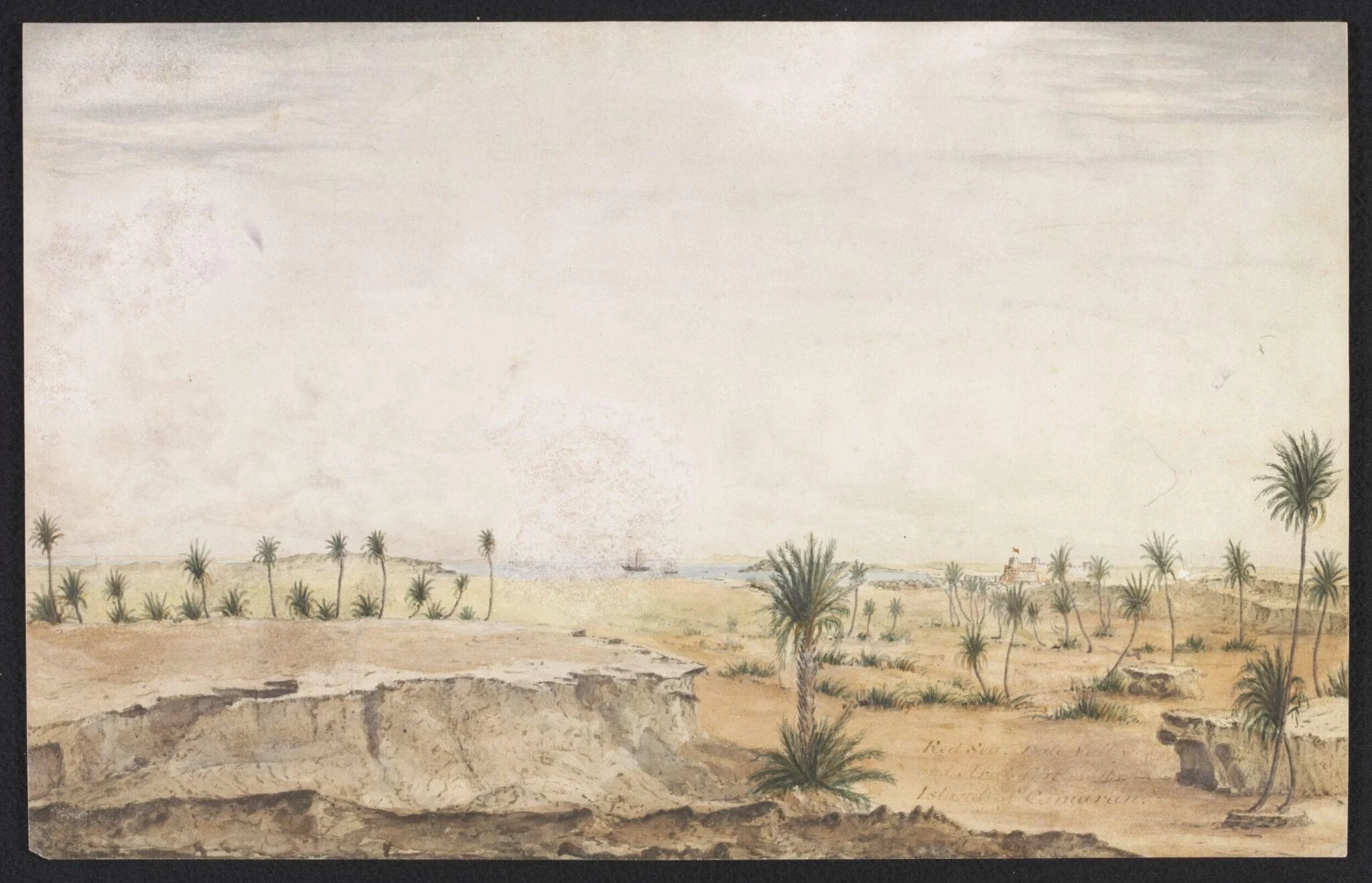 Red Sea. Date Palms and Arab Fort on the Island of Camaran