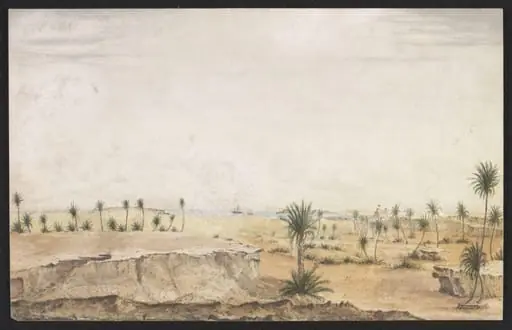 Red Sea. Date Palms and Arab Fort on the Island of Camaran