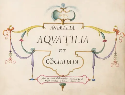 Title Page