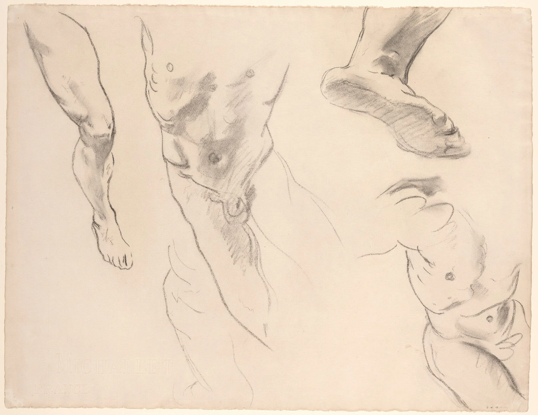 Figure Studies of a Nude Youth, by John Singer Sargent, chalk, 1890
