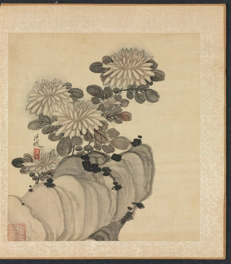 Paintings after Ancient Masters: Chrysanthemum and Rock, by Chen Hongshou, unspecified, 1625