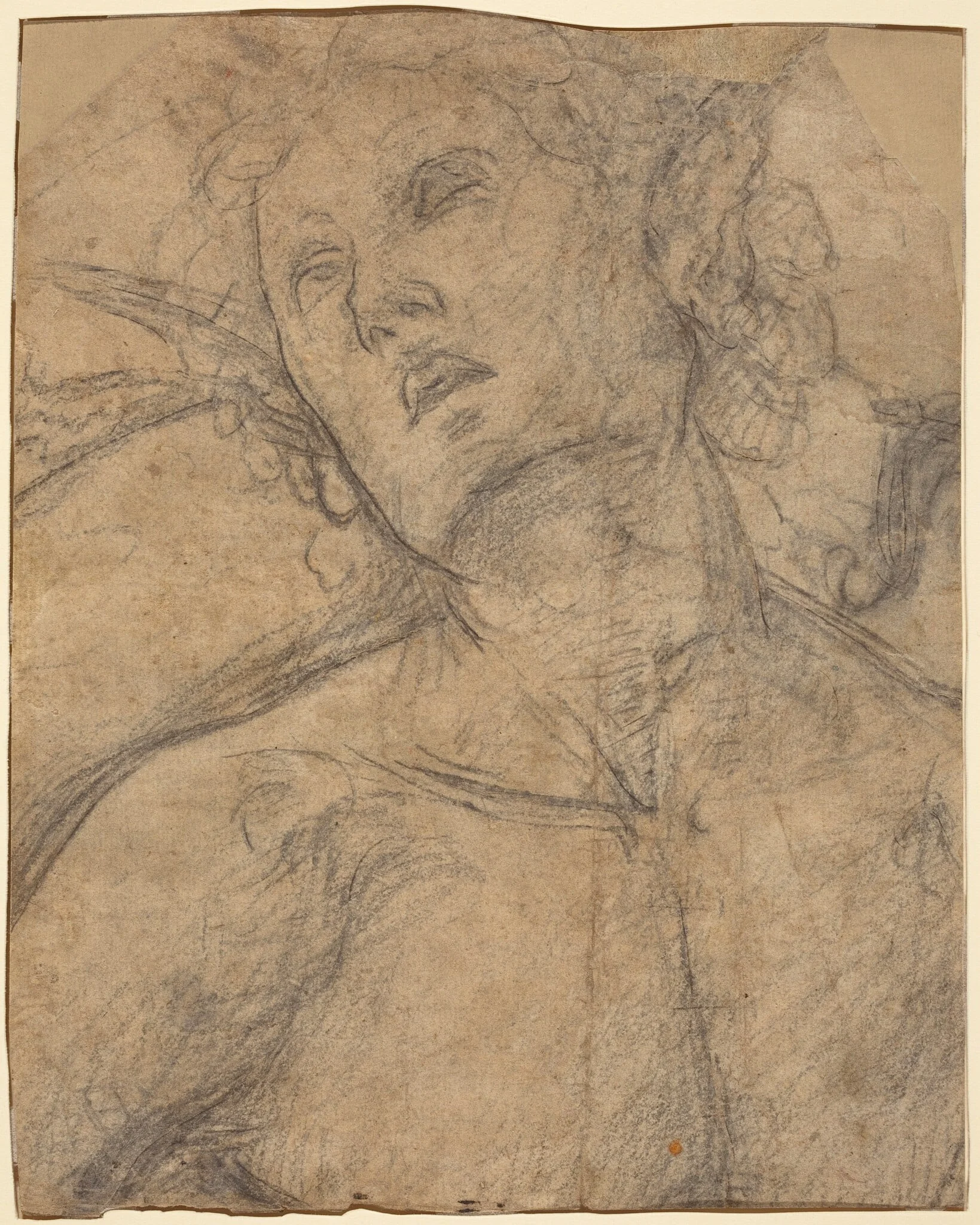 Bust of a Youth Looking Upward [recto], by Luca Signorelli, chalk, 1500