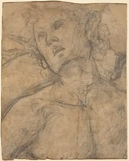 Bust of a Youth Looking Upward [recto]