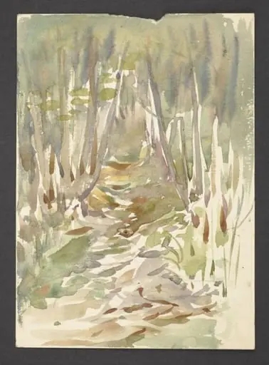 A path through a woodland in autumn