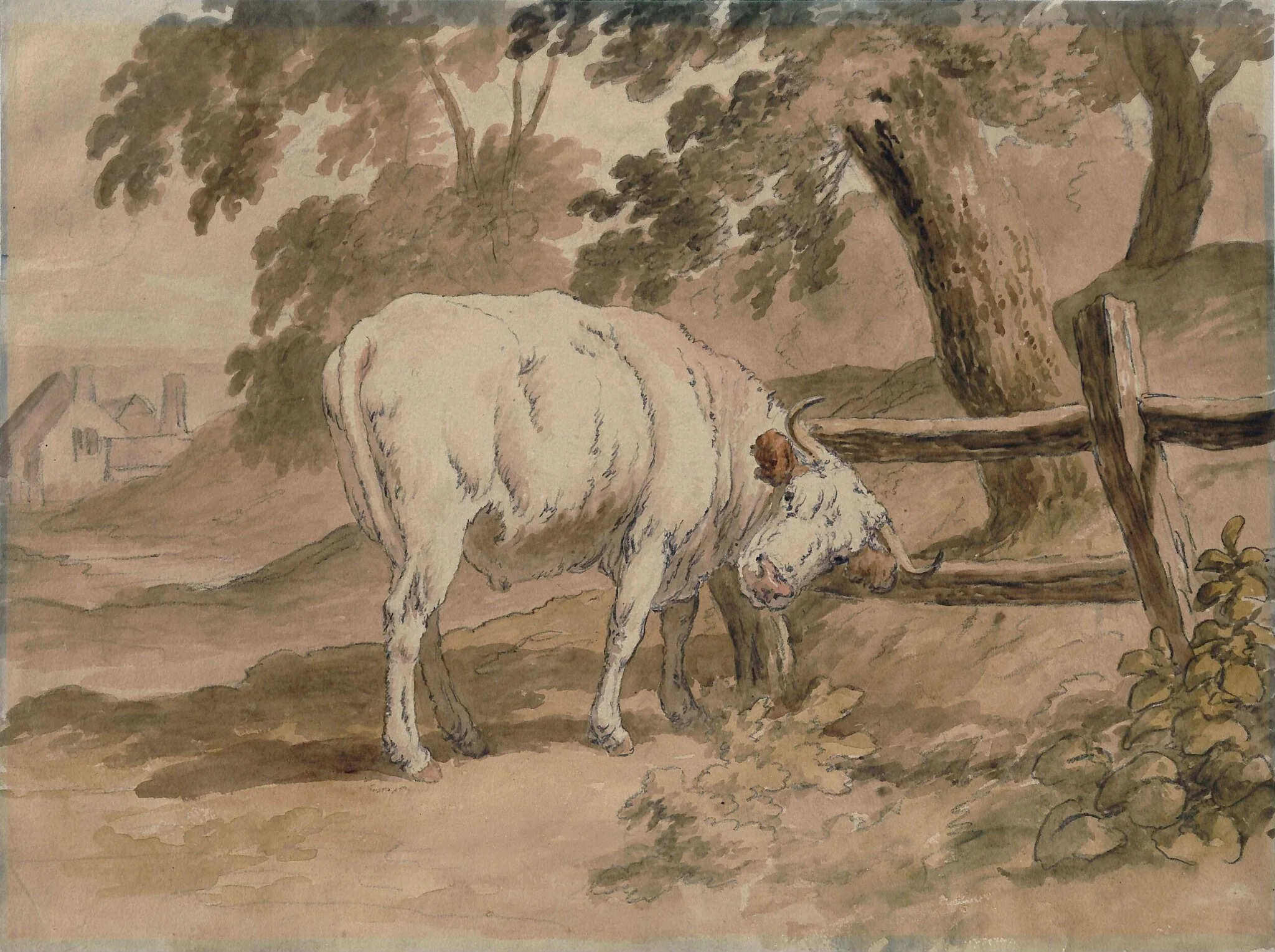 Ox Rubbing Itself Against Rails, by Robert Hills, watercolor, 1790