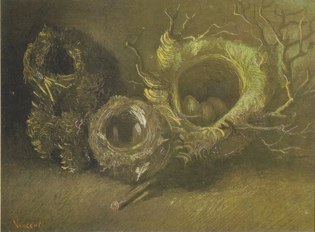Still Life with Three Birds' Nests