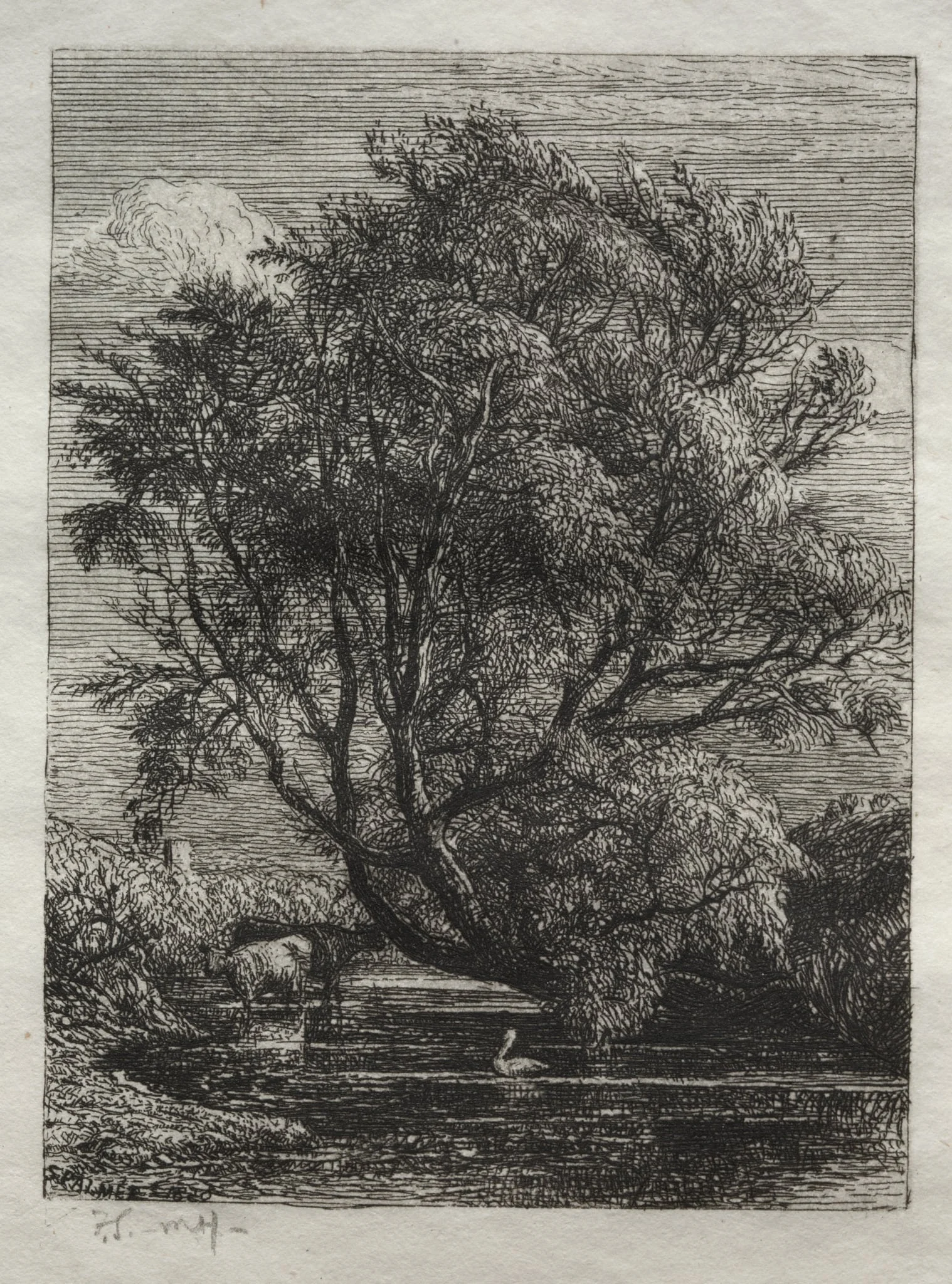 The Willow, by Samuel Palmer, 1850