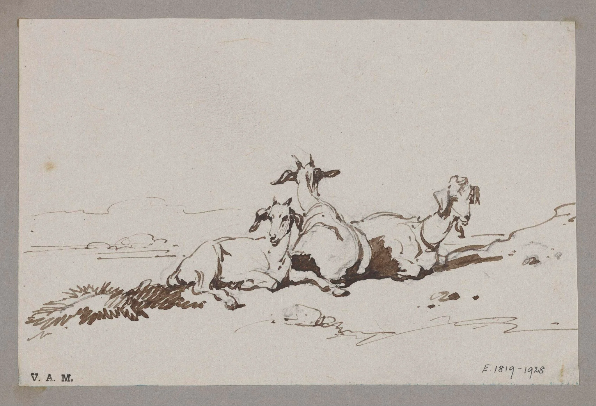 Three goats, by George Chinnery, 19
