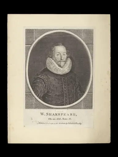 H Beard Print Collection