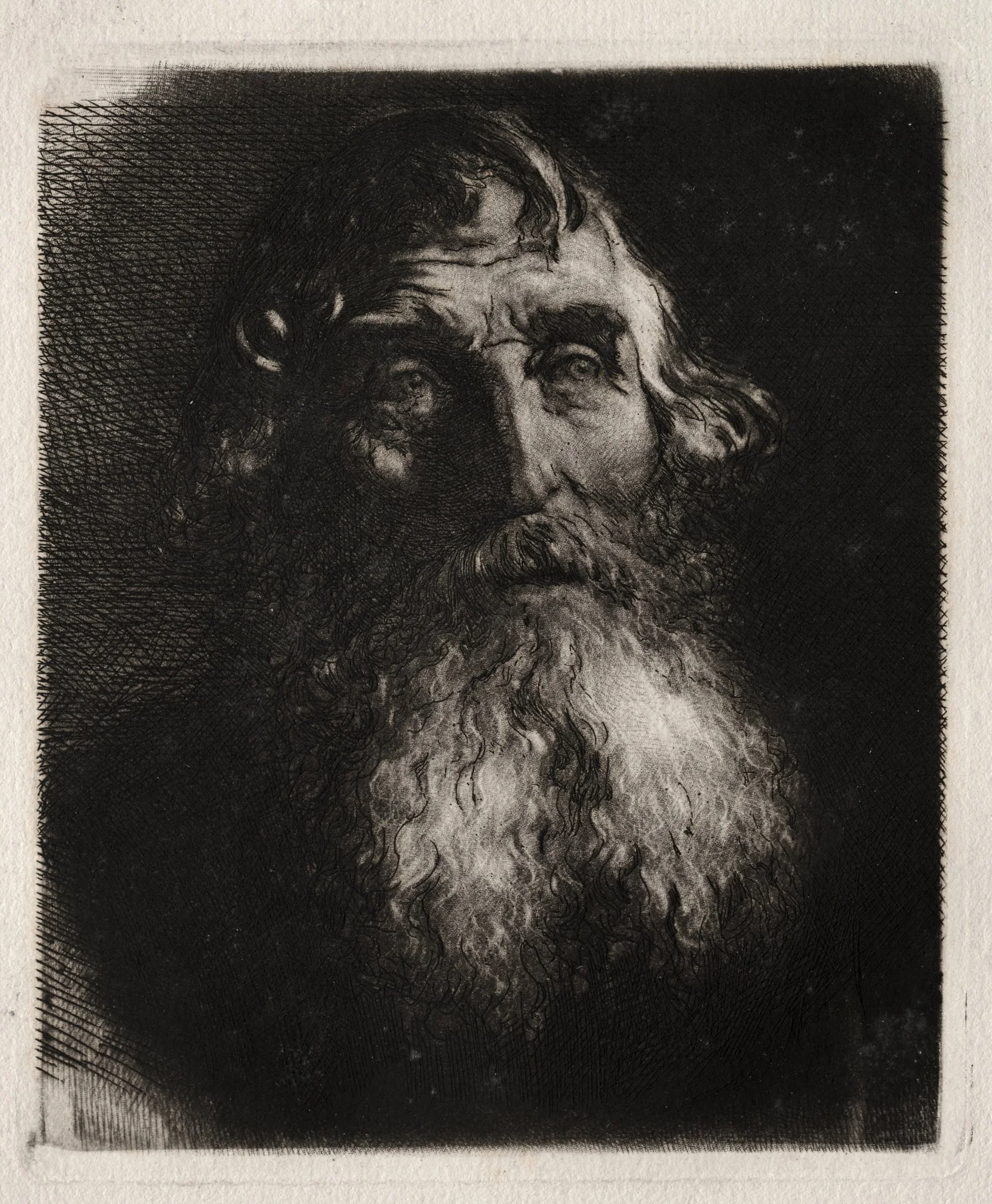 Study of an Old Man's Head