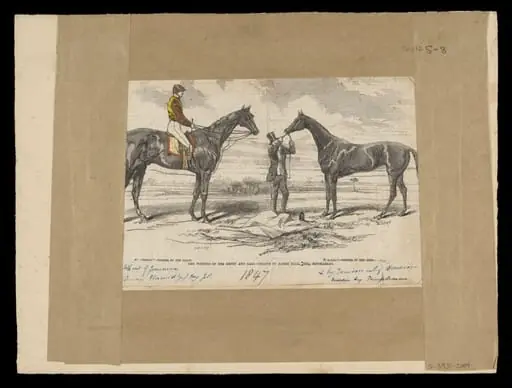 H Beard Print Collection