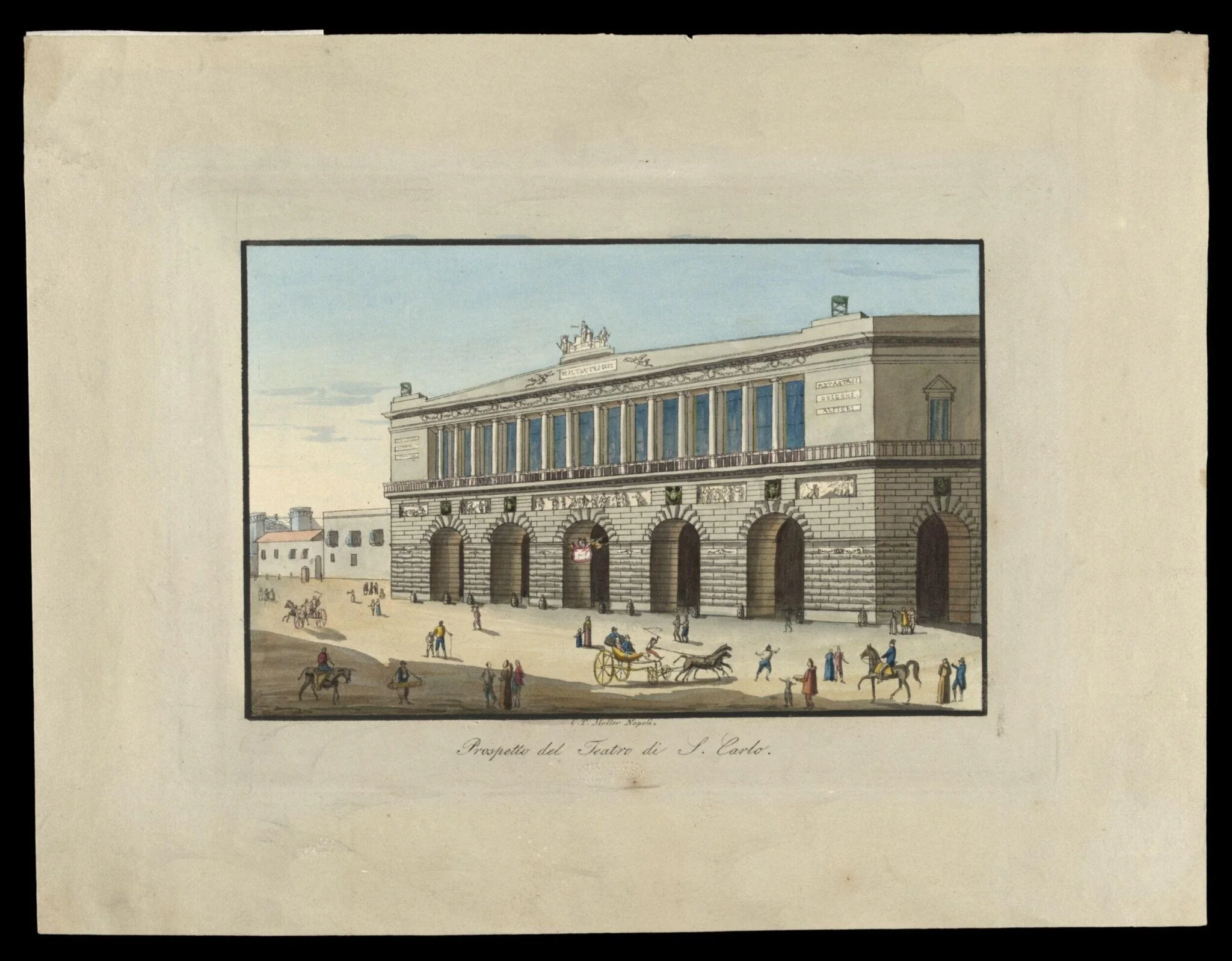 H Beard Print Collection