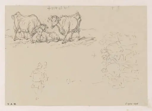 Cattle, with figure sketches