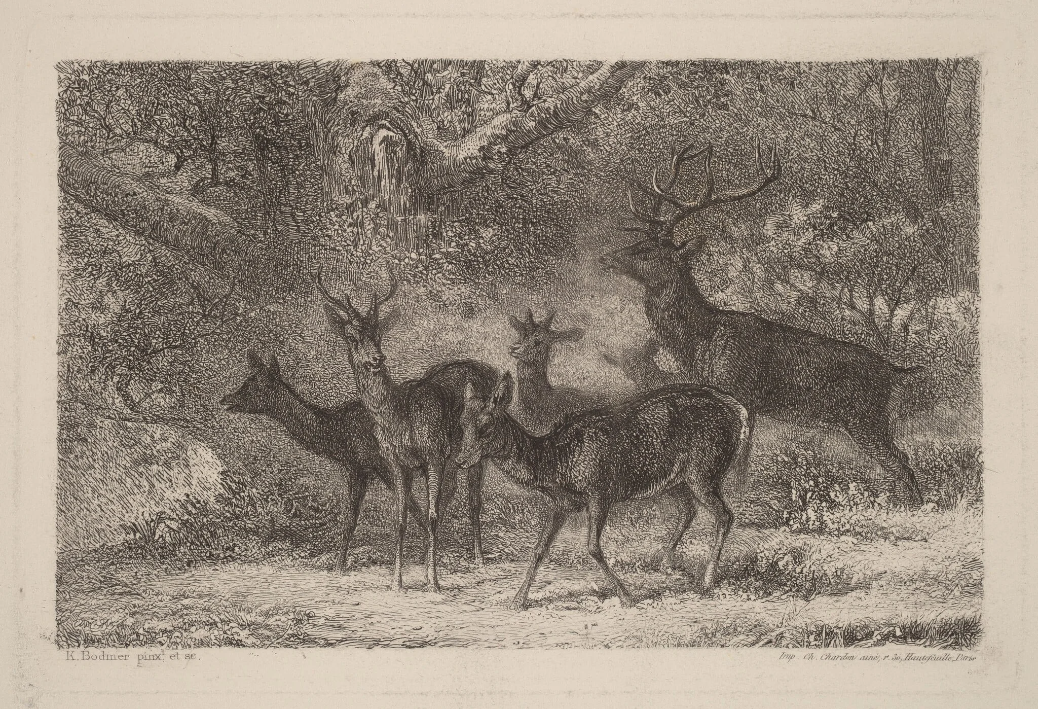 Le harde, by Karl Bodmer, ink, 1851