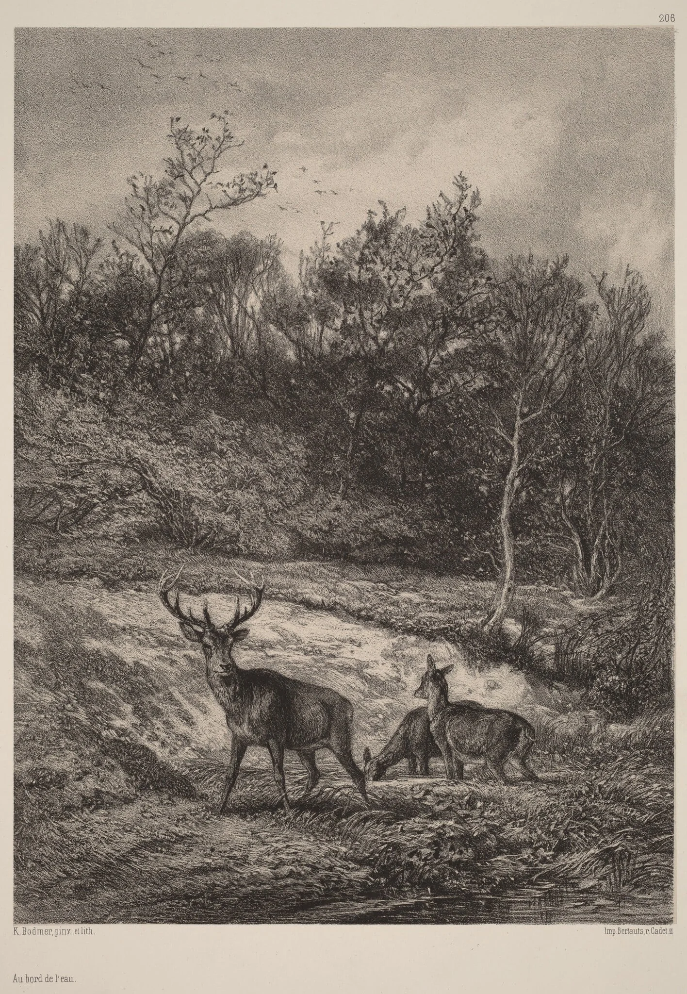Au bord de l'eau