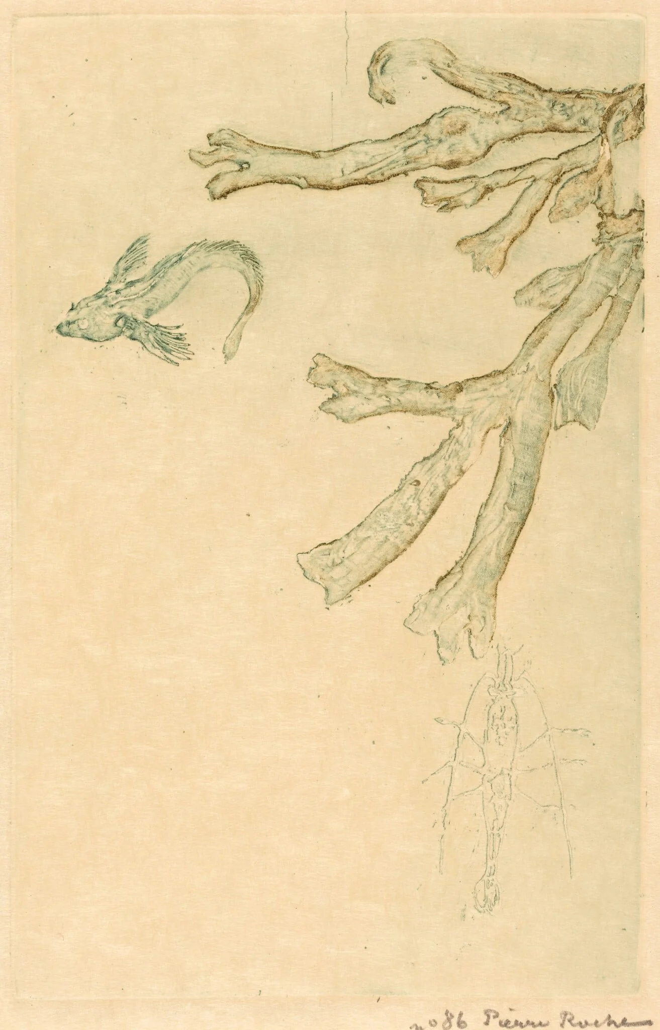 Marine Algae (Algues marines), by Pierre Roche, 1893