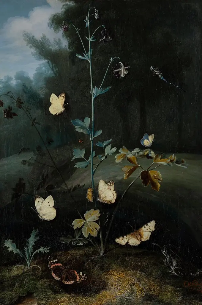 Columbine surrounded by butterflies
