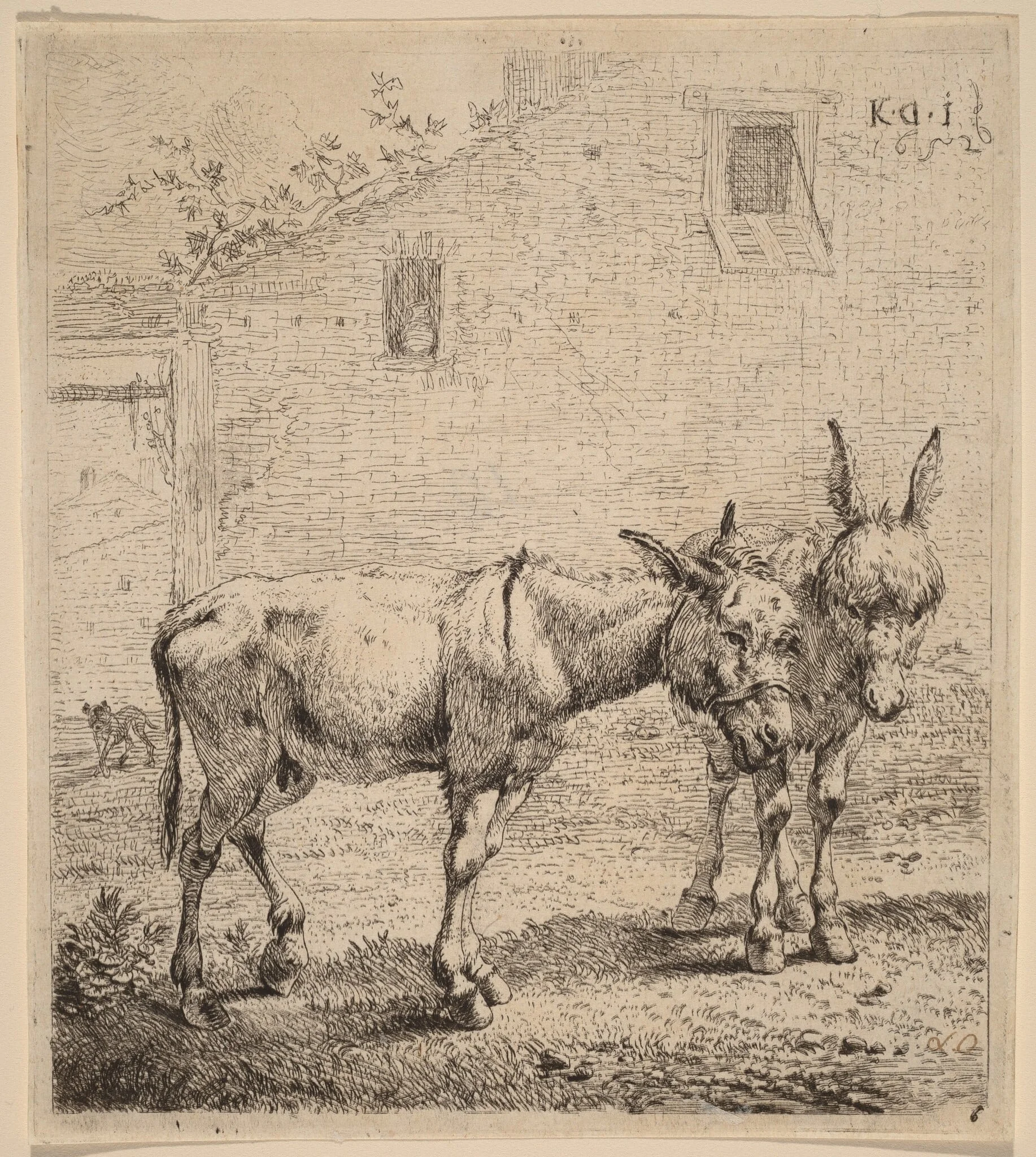 Two Asses