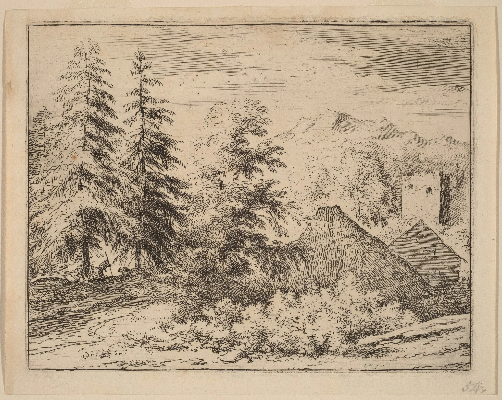 Man between Two Fir Trees