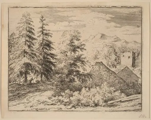 Man between Two Fir Trees