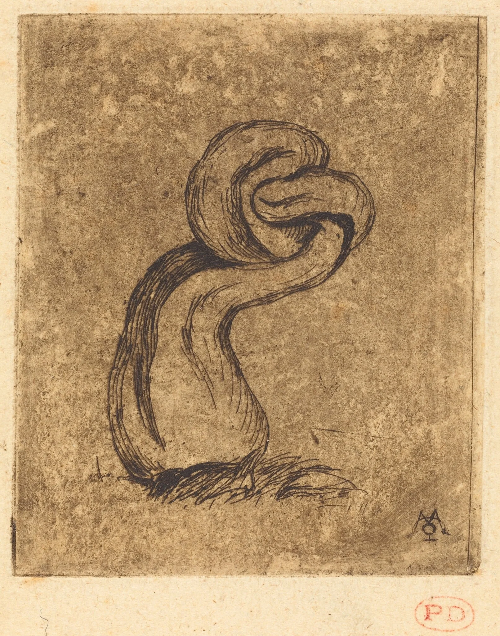 Le malingre cryptogame (The Sickly Cryptogam), by Charles Meryon, ink, 1860