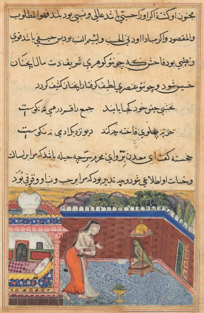 The parrot addresses Khujasta at the beginning of the thirty-first night, from a Tuti-nama (Tales of a Parrot)