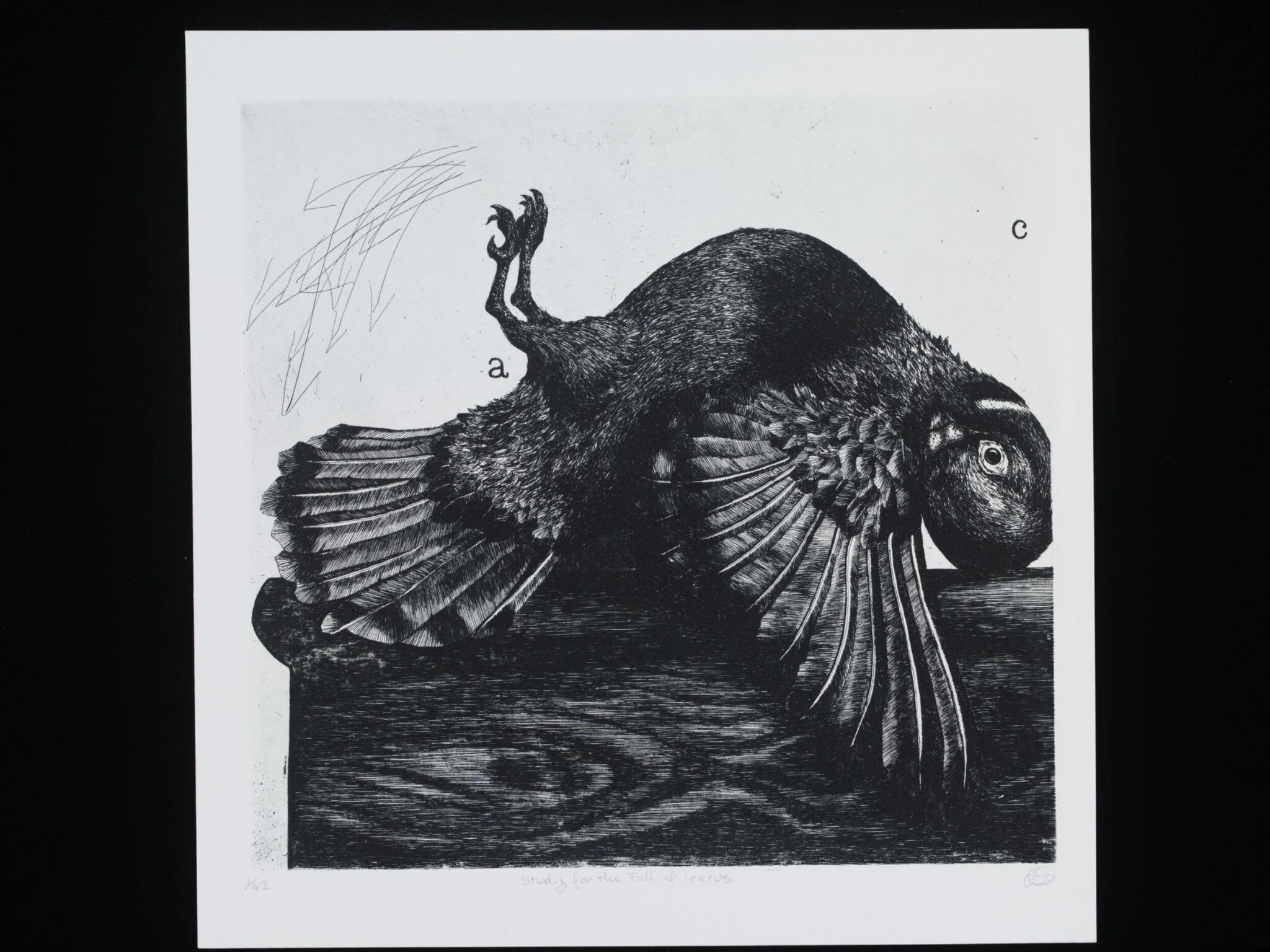 Study for the Fall of Icarus