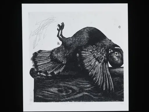 Study for the Fall of Icarus