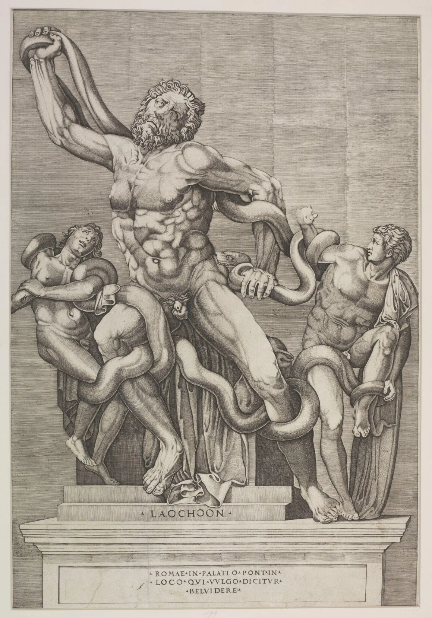 Laocoon and His Sons, by Nicolas Beatrizet, 1520