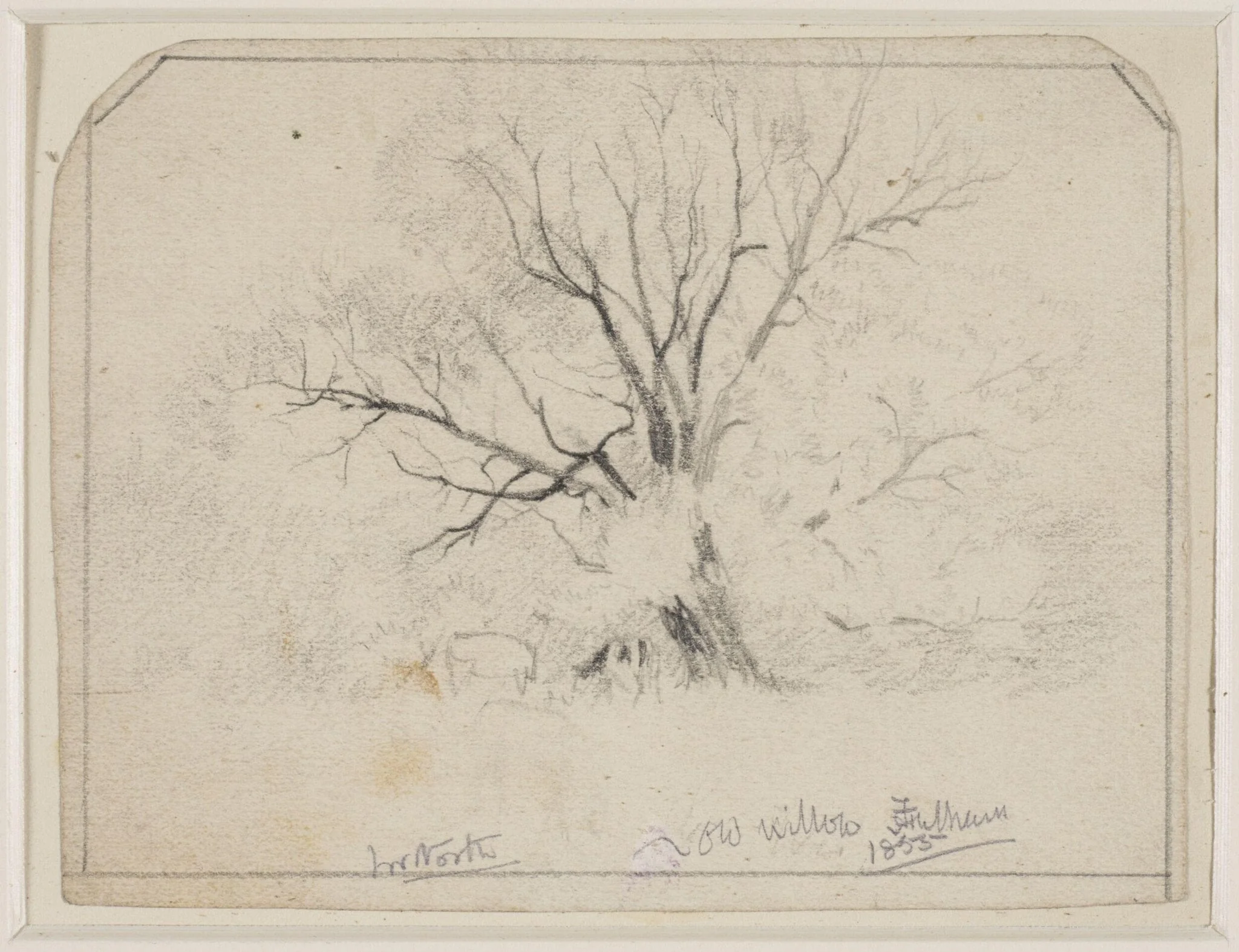 Old Willows, Fulham.