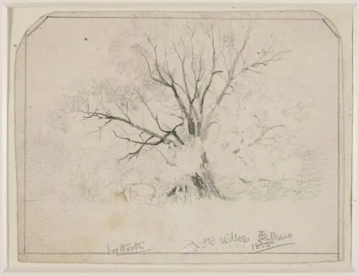 Old Willows, Fulham.