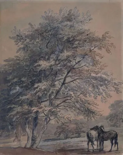 Trees and Horses