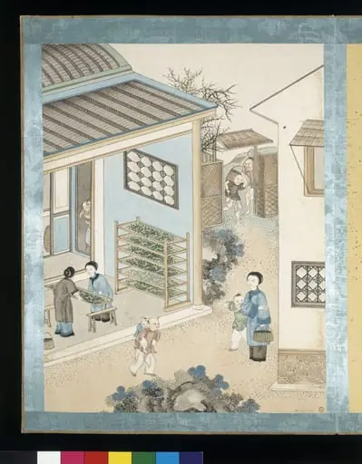 Feeding the Silkworms