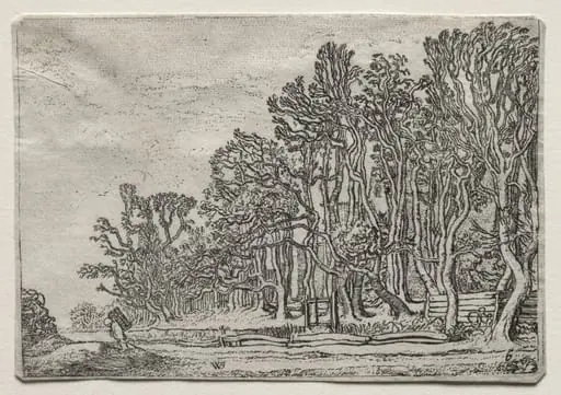 The Set of the Landscapes: Two Plank-Hedges