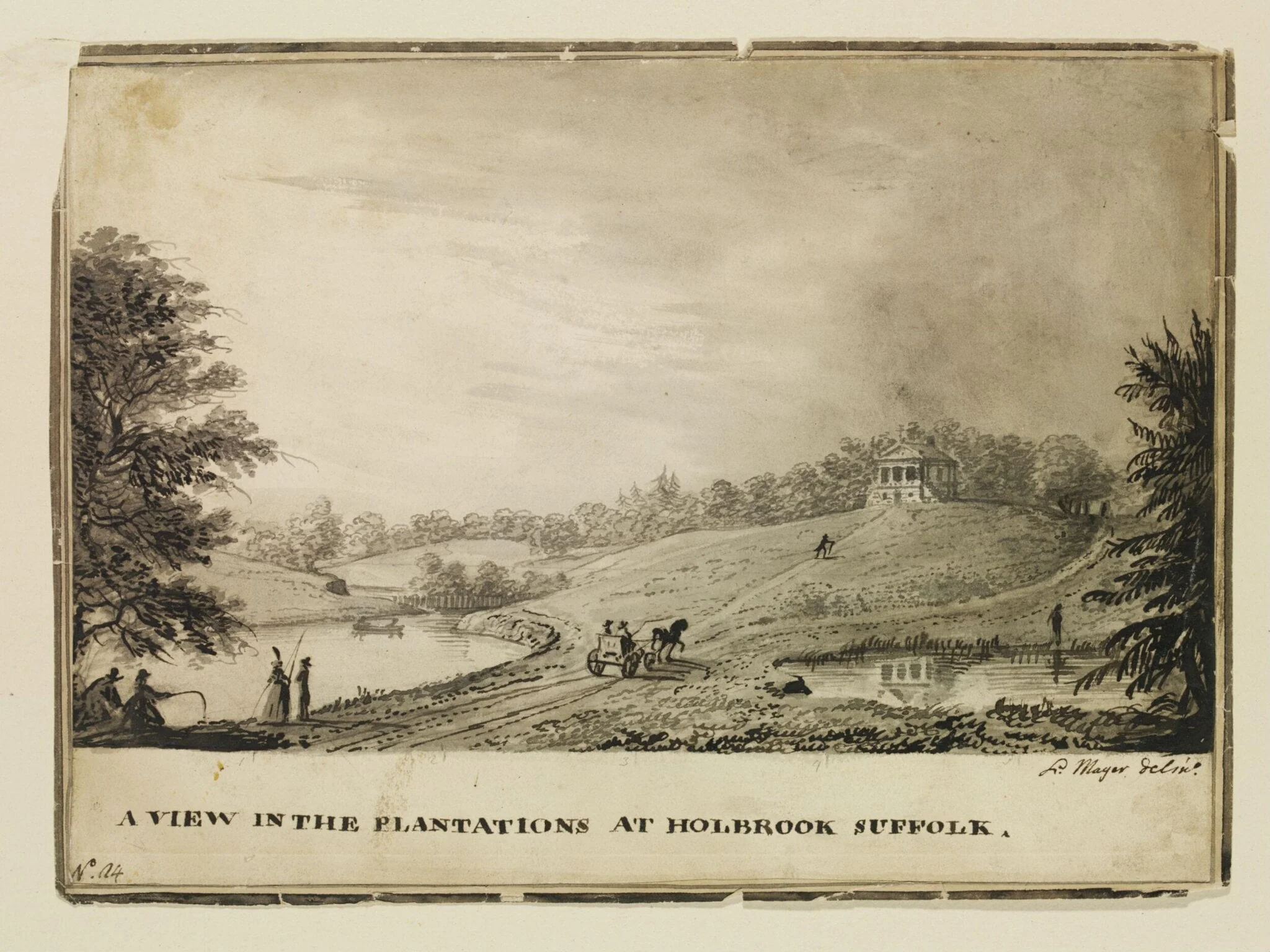 A view in the plantations at Holbrook Suffolk