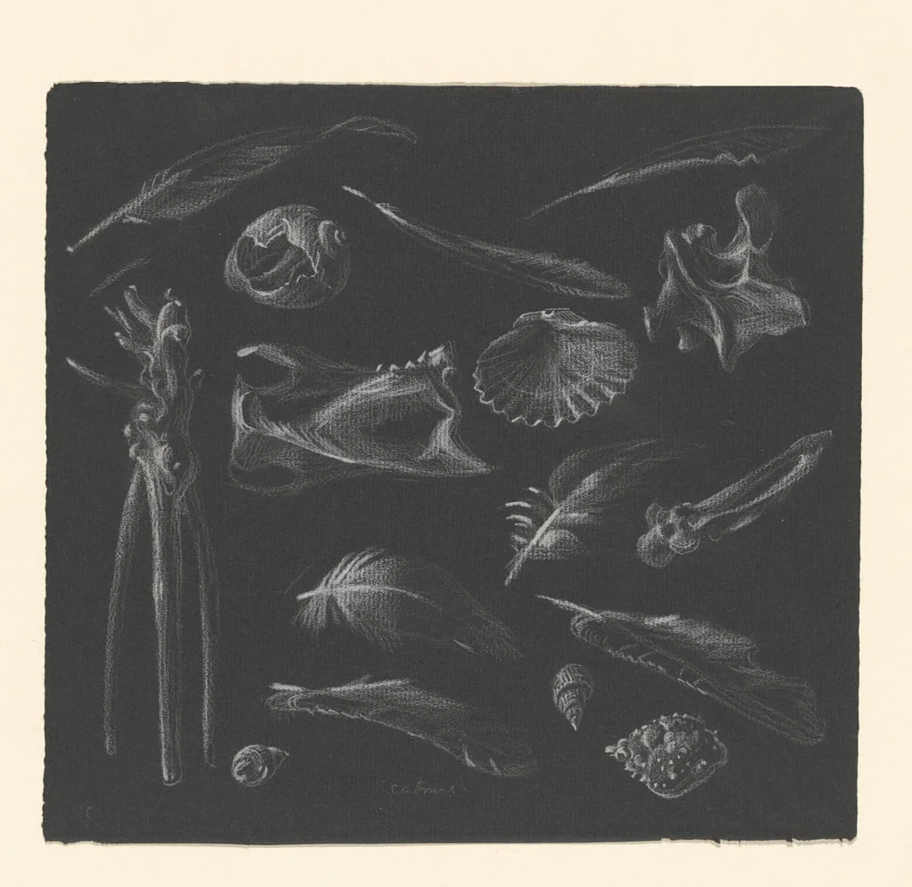 Untitled, by Paul Cadmus, crayon, 1946