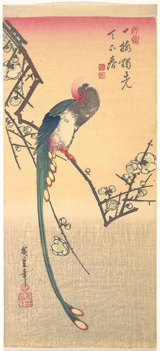 梅に三光鳥|Bird on a Plum Branch, by Utagawa Hiroshige, ink, 1742