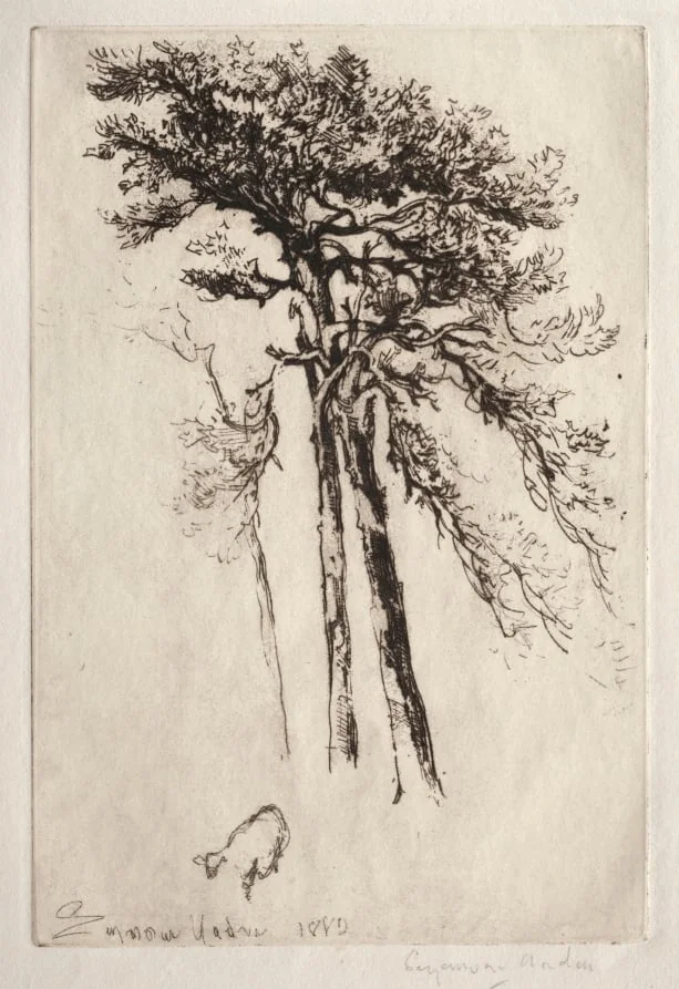 The Latest Tree