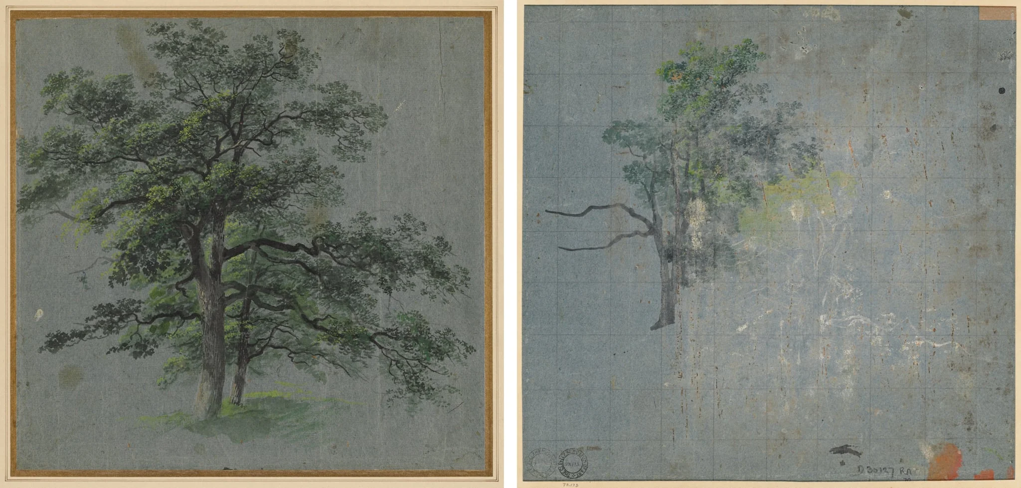 Two Trees (recto) Tree Studies (verso), by Johann Jacob Dorner, 1804