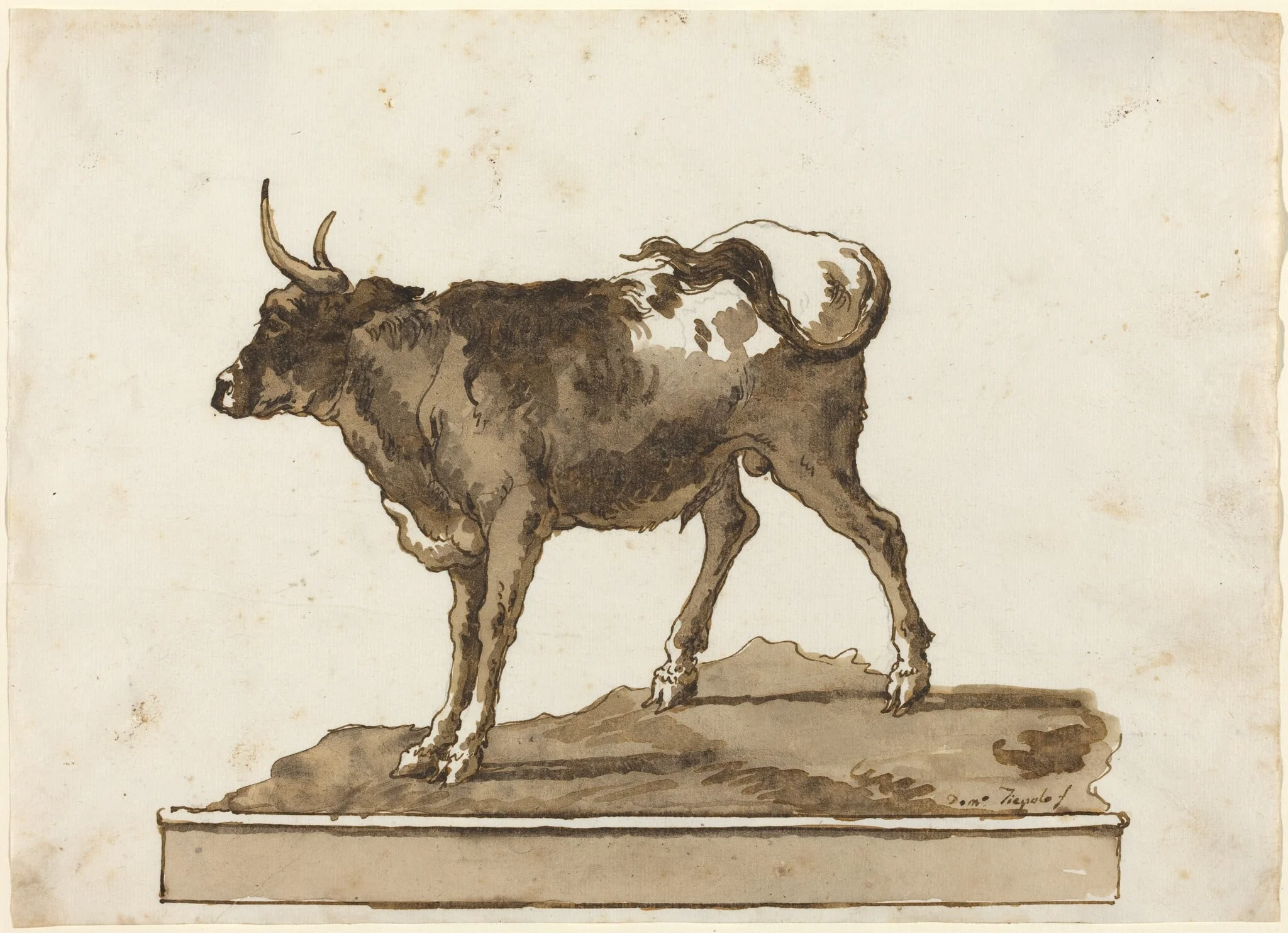 A Bull on a Ledge, by Giovanni Domenico Tiepolo, ink, 1774